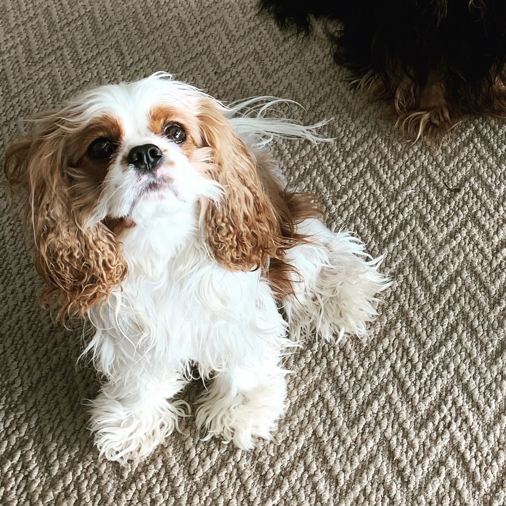 My baby Remy ๐ถ๐ท - Picture 3 of 16